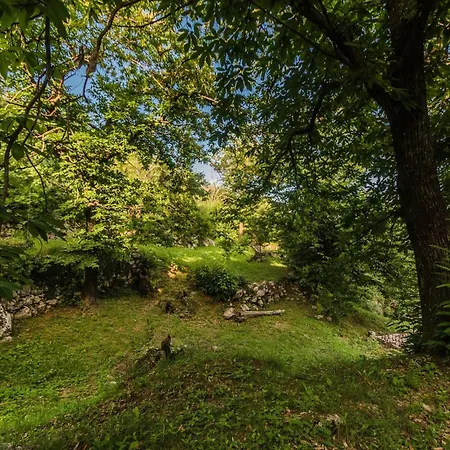 Vakantiehuis Fuer 2 Personen Ca- 50 M² In Rukavac- Kvarner Bucht - Gespanschaft Primorje- By Interhome *