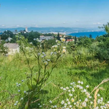 Fuer 2 Personen Ca- 50 M² In Rukavac- Kvarner Bucht - Gespanschaft Primorje- By Interhome