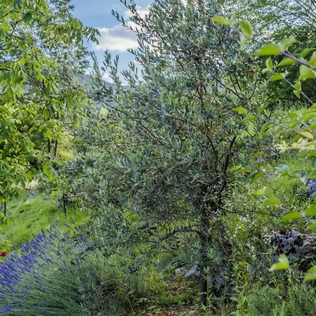 Fuer 2 Personen Ca- 50 M² In Rukavac- Kvarner Bucht - Gespanschaft Primorje- By Interhome * Rukavac (Primorje-Gorski Kotar)