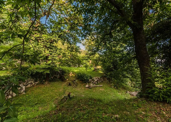 Tatil Evi Fuer 2 Personen Ca- 50 M² In Rukavac- Kvarner Bucht - Gespanschaft Primorje- By Interhome *