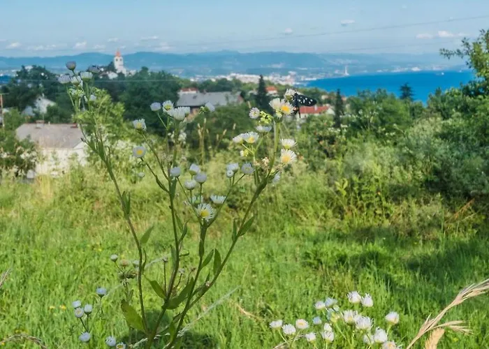 Fuer 2 Personen Ca- 50 M² In Rukavac- Kvarner Bucht - Gespanschaft Primorje- By Interhome