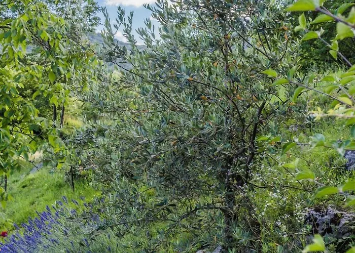 Fuer 2 Personen Ca- 50 M² In Rukavac- Kvarner Bucht - Gespanschaft Primorje- By Interhome * Rukavac (Primorje-Gorski Kotar)